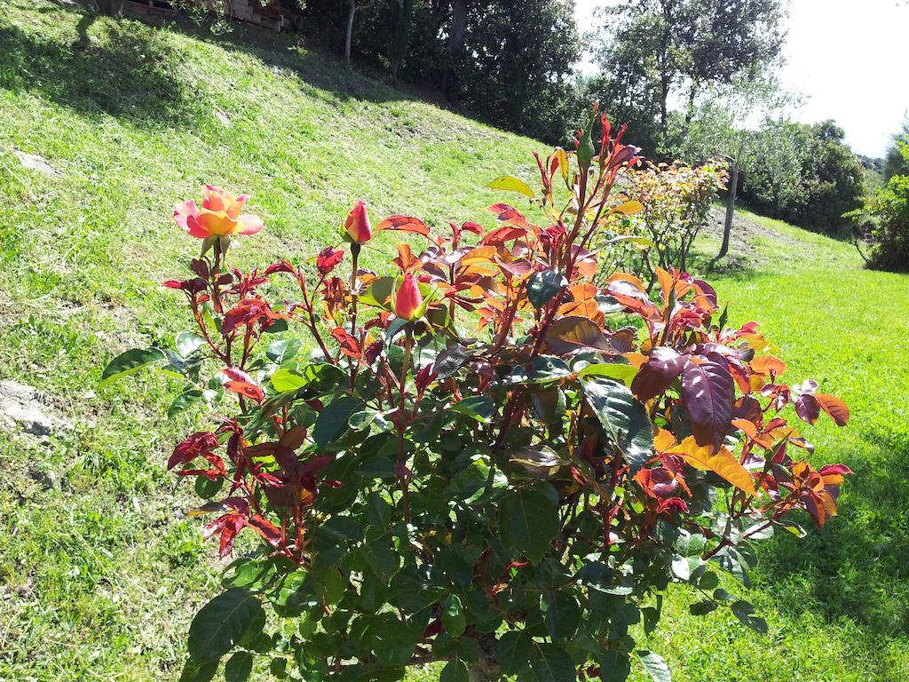 Casa Guaitoli Villa Bagni Di Petriolo Bagian luar foto